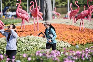 BIB: 
                            <button type="button" onclick="openModal(27793437)" class="btn btn-primary btn-sm float-right btn-popup" data-toggle="modal" data-target=".modal-high-quality">
                        <i class="fas fa-shopping-cart"></i> Add to Cart
                    </button>
                                            <button type="button" onclick="isThisMe(27793437, true)" class="btn btn-success btn-sm float-right btn-popup btn-isme hidden" data-toggle="tooltip" data-placement="bottom" title="นี่คือรูปของคุณใช่ไหม คลิกที่นี่เพื่อเอาเข้าอัลบั้ม">
                        <i class="fas fa-plus"></i> Add to album
                    </button>
                    <button type="button" onclick="isThisMe(27793437, false)" class="btn btn-warning btn-sm float-right btn-popup btn-isnotme hidden">
                        <i class="fas fa-ban"></i> Remove from album
                    </button>